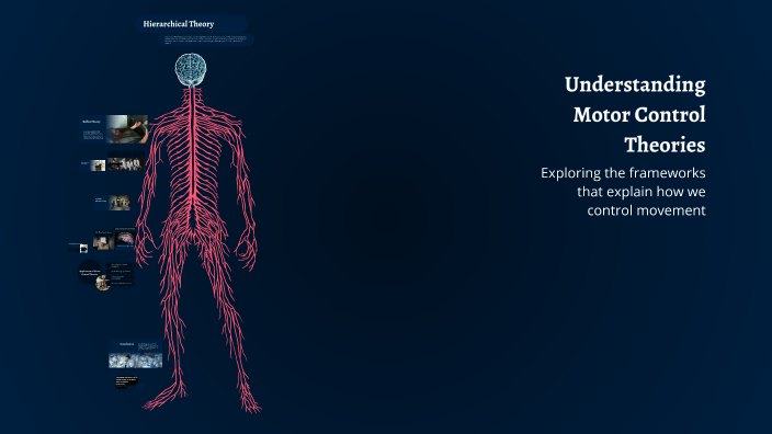 Understanding Motor Control Theories by Zahra Moradi on Prezi
