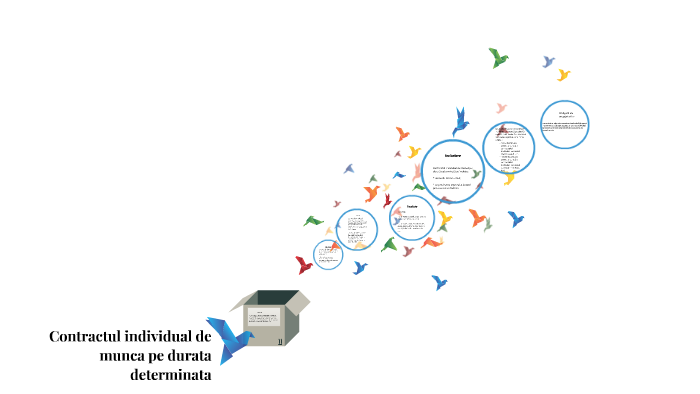 Contractul Individual De Munca Pe Durata Determinata By Irimia Cosmin