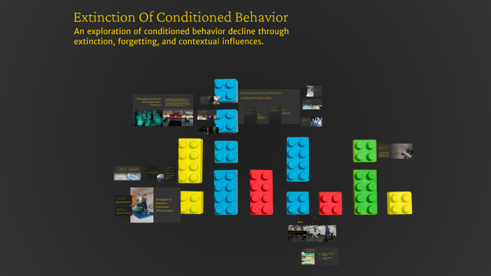 Extinction Of Conditioned Behavior by Alyssa Robinson on Prezi