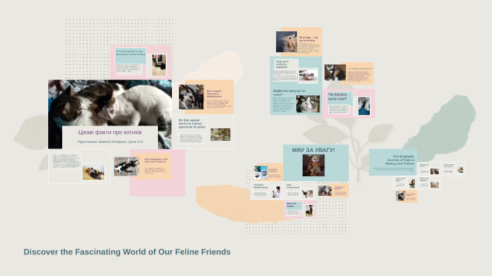 Interesting Facts About Cats by Катерина Шамлій on Prezi