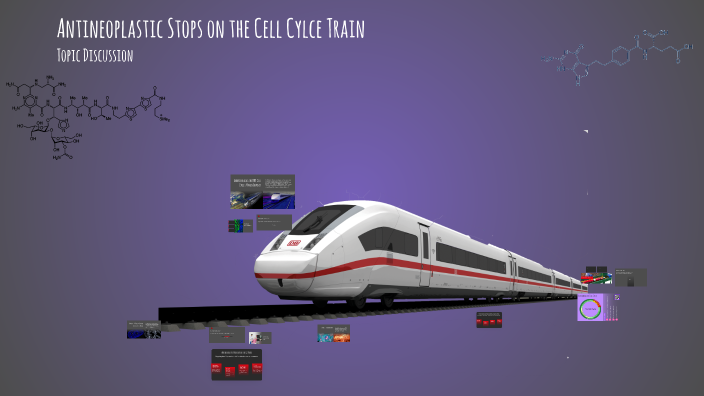 Cell Wheel Train The DNA Cell Cycle: A Train Journey Through Phases and Antineoplastic ...