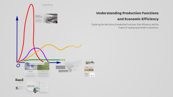 Understanding Production Functions and Economic Efficiency by Agnus ...