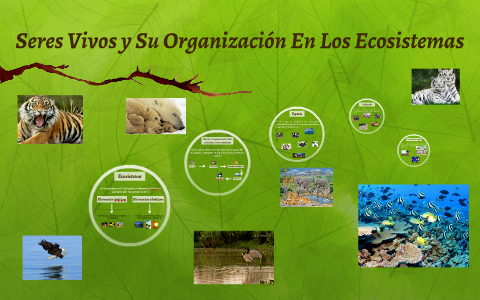 Seres vivos y su organización en los ecosistemas by Camilo Esparza on Prezi