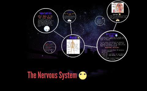 The Nervous System by maddie jones on Prezi