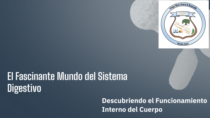 El Fascinante Mundo Del Sistema Digestivo By Bayron R On Prezi