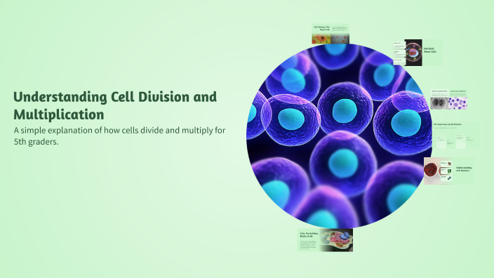 Understanding Cell Division and Multiplication by Nika B on Prezi