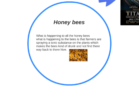Honey bees by james mcdonough on Prezi