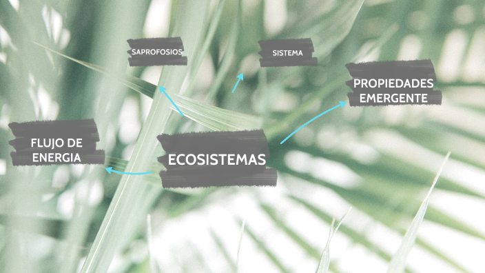 ECOSISTEMAS by Mendoza Baca Azerí yutzil on Prezi