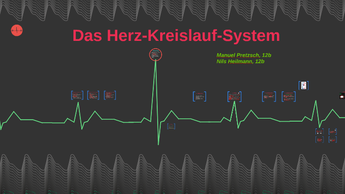 Das Herz Kreislauf System By Nils Heilmann