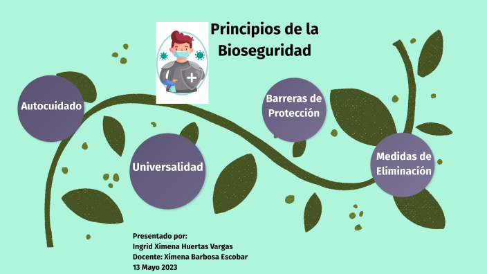 PRINCIPIOS DE LA BISEGURIDAD by Ingrid Huertas on Prezi