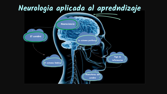 Neurociencia Y Como Aprendemos By Jonathan Ramirez On Prezi