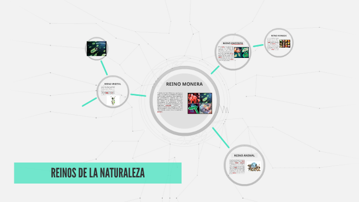 REINOS DE LA NATURALEZA by natalia sanabria baez on Prezi