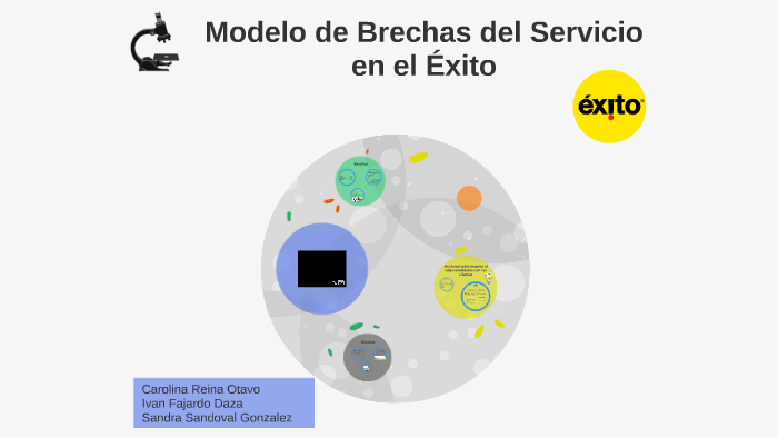 Modelo de Brechas del Servicio by Carolina Reina