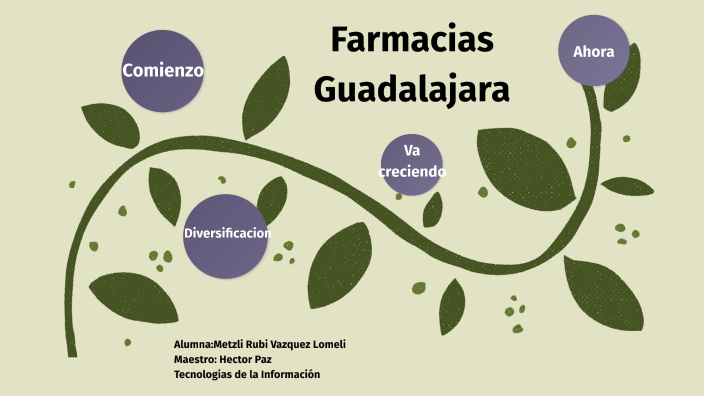 Farmacias Guadalajara by METZLI RUBI VAZQUEZ LOMELI on Prezi