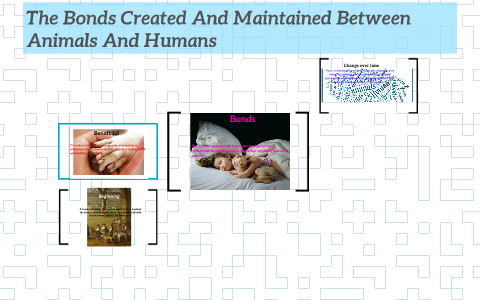 The Bonds Created And Maintained Between Animals And Humans By TaRieya ...