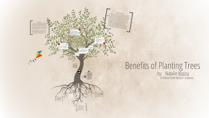 Benefits of Planting Trees by Natalie Vezina on Prezi