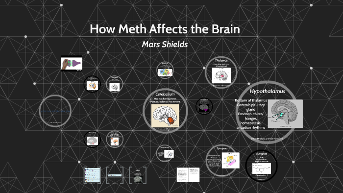 How Meth Affects The Brain By Mars Shields