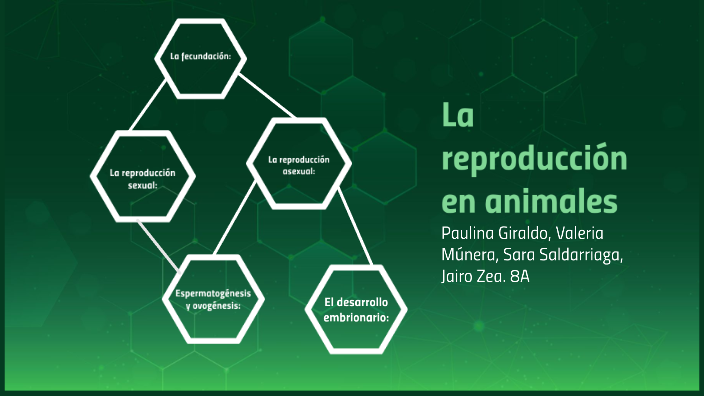 Reproducción en animales by VALERIA MÚNERA GÓMEZ on Prezi