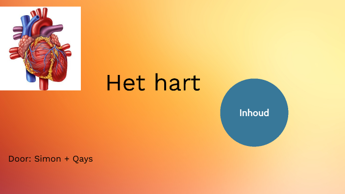 Presentatie: Hart by Qays shaaban on Prezi