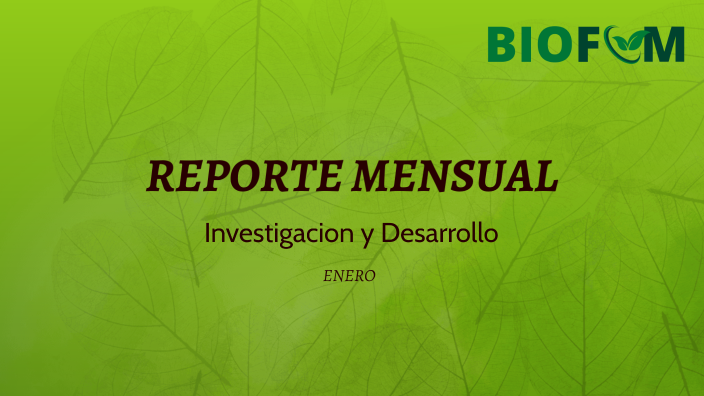 Reporte Mensual Enero 2024 by Javier Cano on Prezi