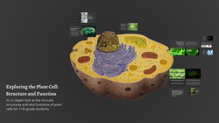 Exploring the Plant Cell: Structure and Function by Gamma Singh on Prezi