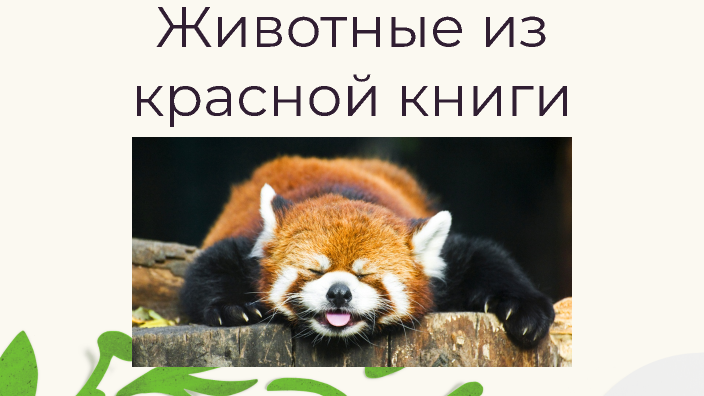 Endangered Animals by Огибенина Мария on Prezi