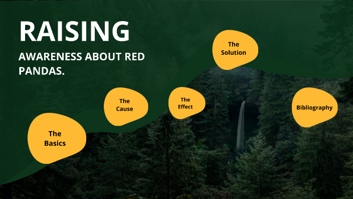 Endangered Animals Red Pandas By Theo Du Plessis On Prezi Endangered Animals Red Pandas By Theo Du Plessis On Prezi