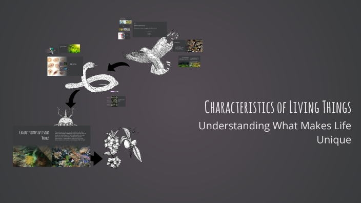 Characteristics of Living Things by Leah Leah on Prezi