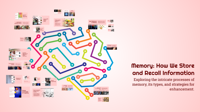 Memory: How We Store and Recall Information by Med Taha on Prezi