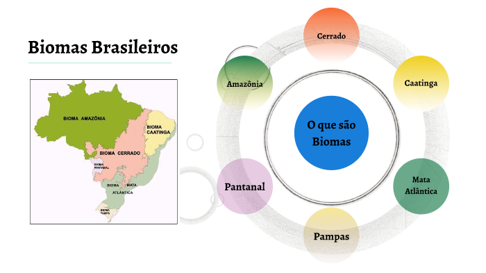 Biomas Brasileiros by Victor Duarte on Prezi