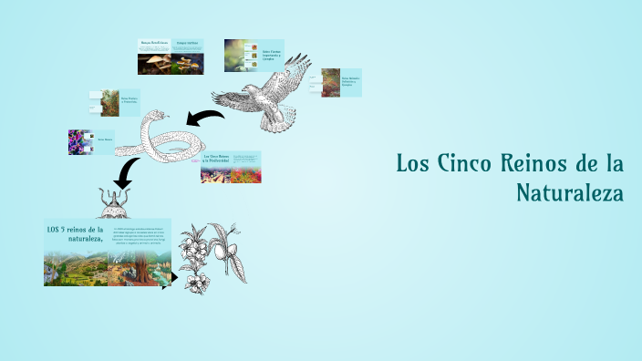 Los Cinco Reinos de la Naturaleza by jesús antonio márquez on Prezi