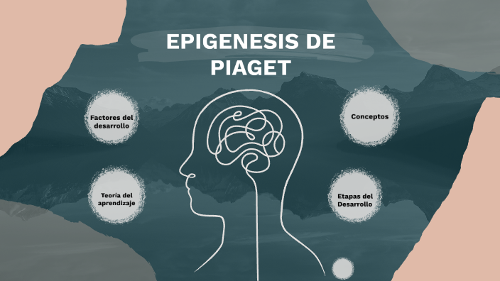 EPIGENESIS DE PIAGET by JULIETA LOPEZ on Prezi