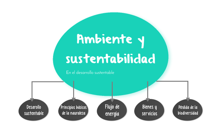 Mapa Conceptual Sobre El Ambiente Y Sustentabilidad En El Desarrollo Sustentable By Sara