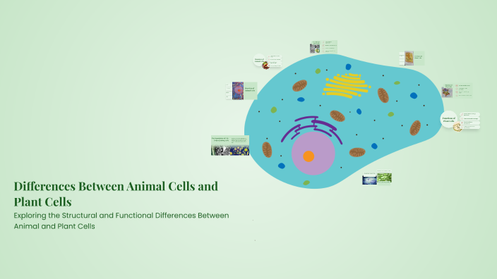Differences Between Animal Cells and Plant Cells by dff ffsfd on Prezi