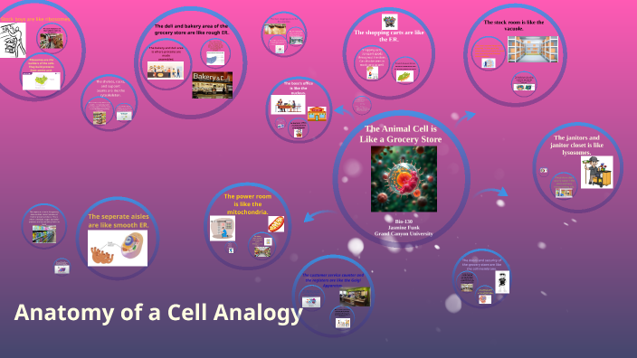 Anatomy of a Cell Analogy by Jasmine Funk on Prezi