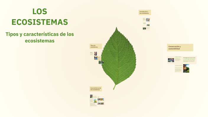 LOS ECOSISTEMAS by SHIRLY STEFANY CASTELLANOS ROJANO on Prezi