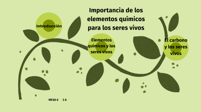 Importancia De Los Elementos Químicos Para Los Seres Vivos