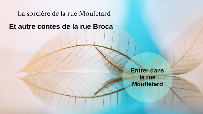 Fiche De Lecture 6ème La Sorcière De La Rue Mouffetard
