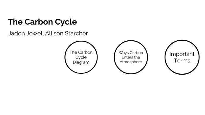 The Carbon Cycle by jaden jewell on Prezi