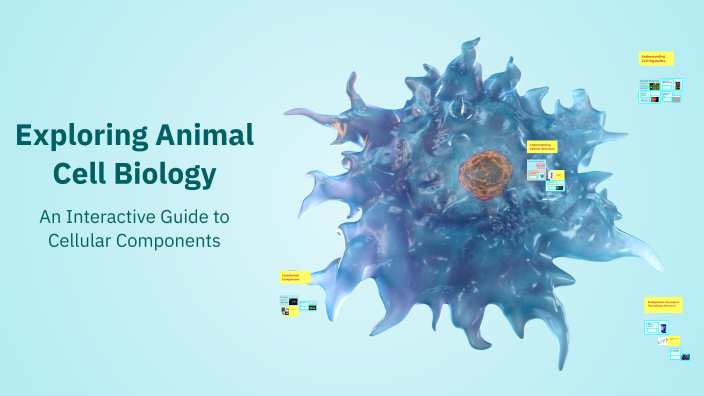 Exploring Animal Cell Biology by Luis Carlos Bernal Muniz on Prezi