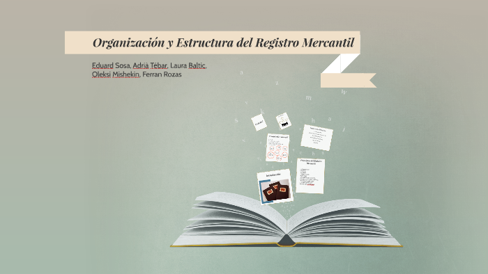 Organizacion registro mercantil