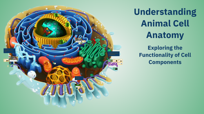 Understanding Animal Cell Anatomy by Paxton Anderson on Prezi