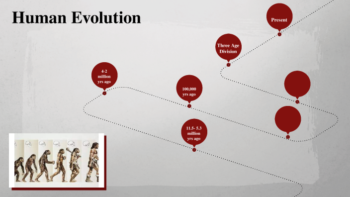 Human Evolution by Ajani Gilbert on Prezi