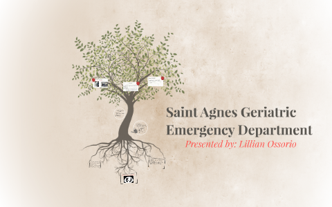 Saint Agnes Geriatric Emergency Department By Lillian