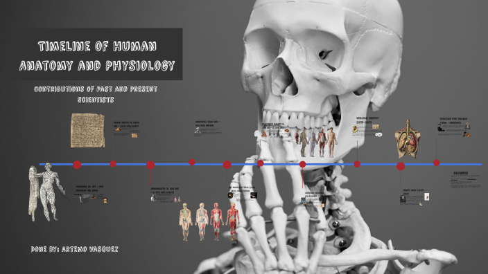 Timeline of Human Anatomy and Physiology by Artemo Vasquez on Prezi