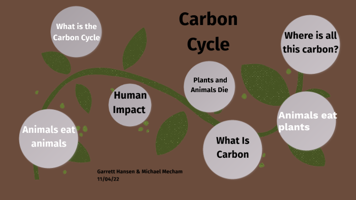 Carbon Cycle by ICE eSports on Prezi