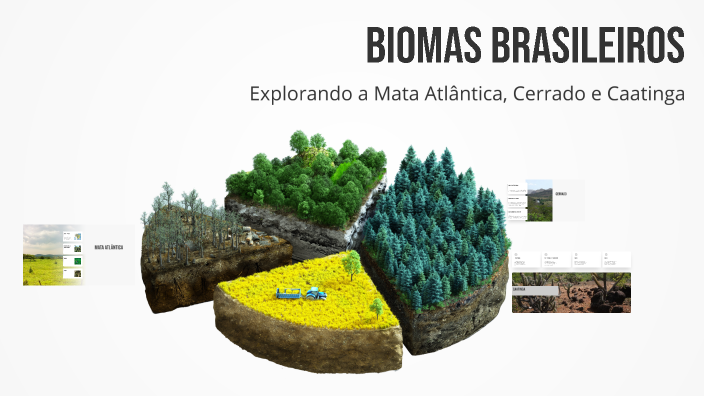 Biomas Brasileiros by Eliazar Alejandro on Prezi