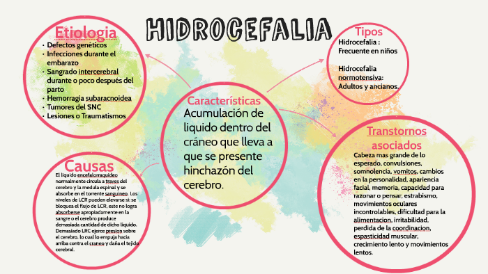 Hidrocefalia By Agustina Spinelli On Prezi Next 8516