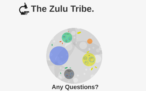 The Zulu Tribe. by Catherine Soulsby on Prezi