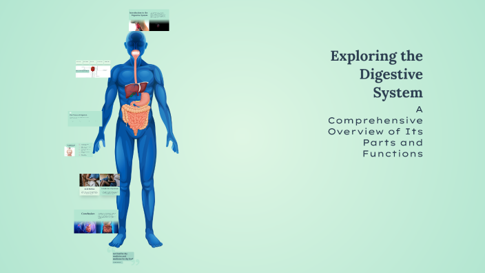 Exploring the Digestive System by Nicole Arcediano on Prezi